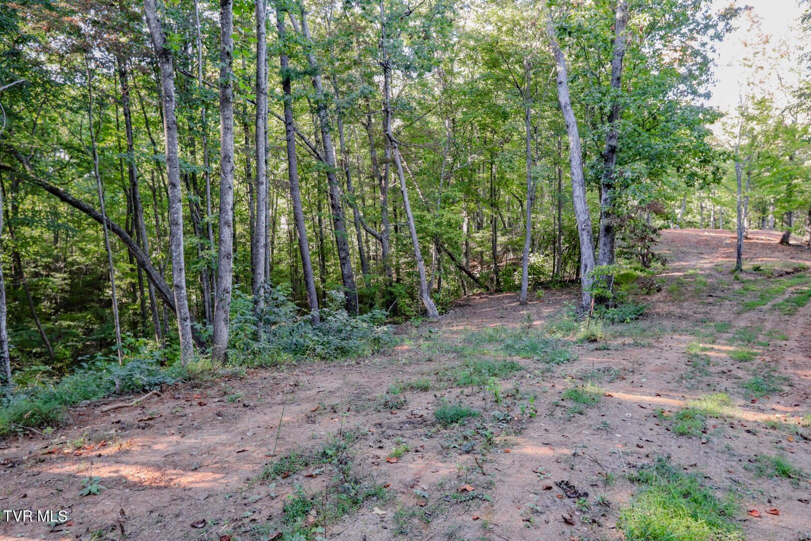 142 Delicious Way, Unit 38 Newport, TN 37821 - Photo 15 of 27 15