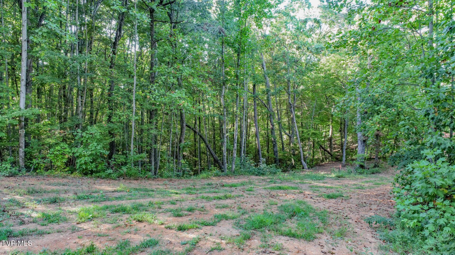 142 Delicious Way, Unit 38 Newport, TN 37821 - Photo 17 of 27 17