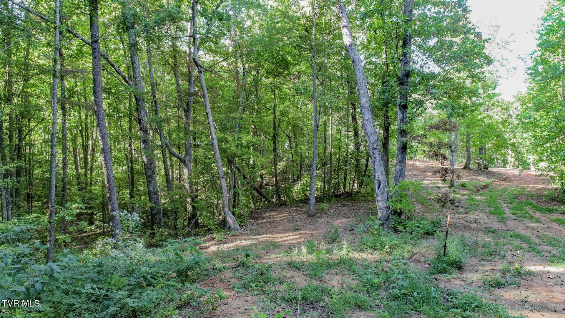 142 Delicious Way, Unit 38 Newport, TN 37821 - Photo 20 of 27 20