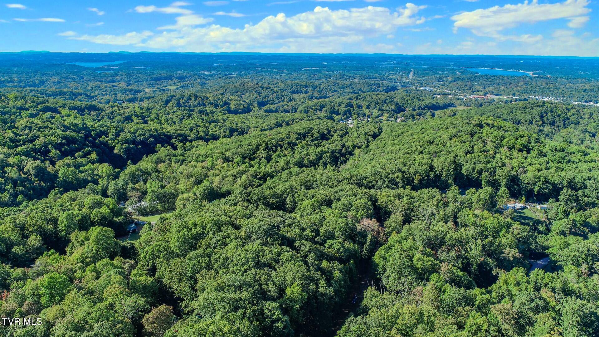 142 Delicious Way, Unit 38 Newport, TN 37821 - Photo 2 of 27 2