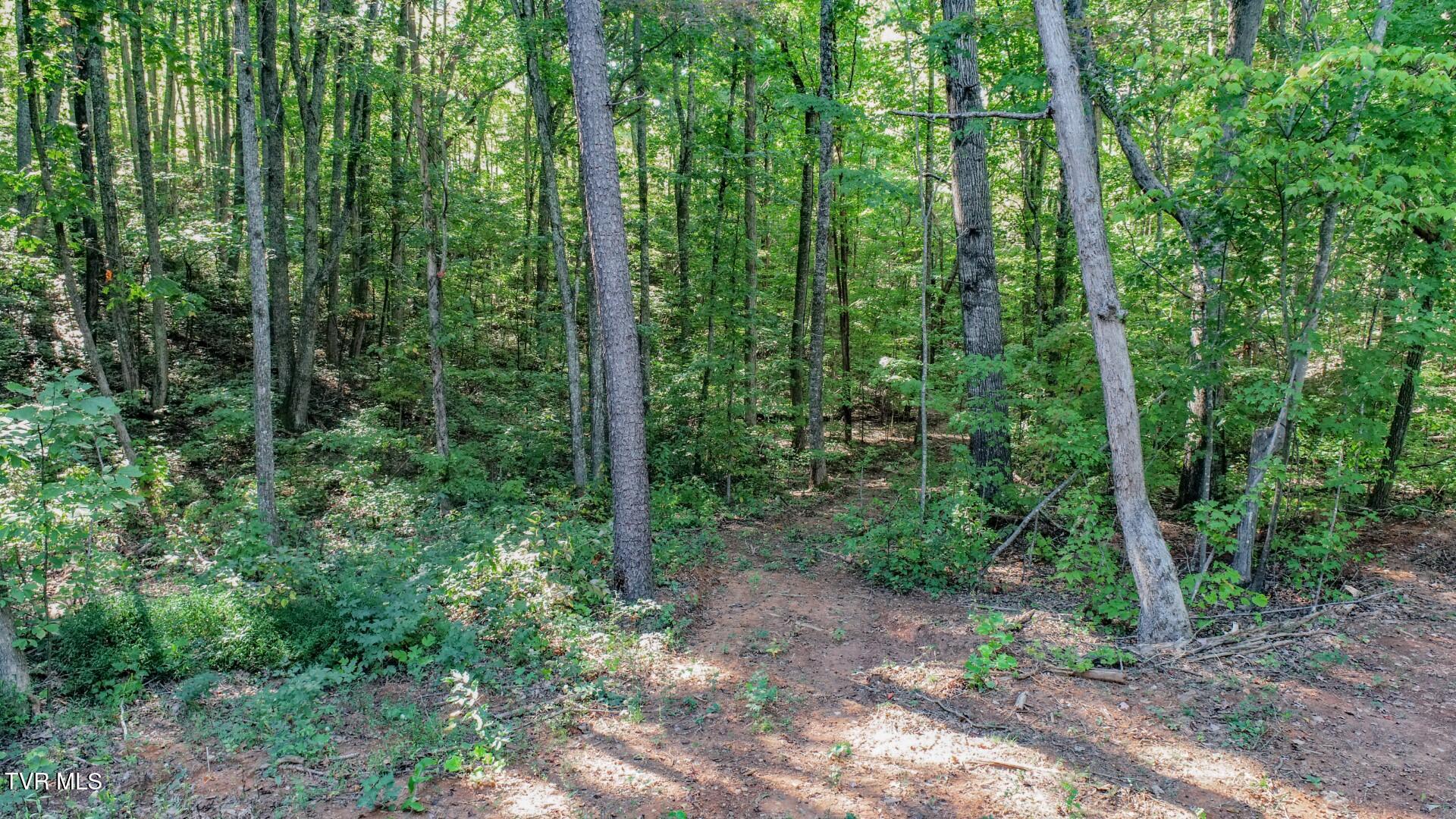 142 Delicious Way, Unit 38 Newport, TN 37821 - Photo 21 of 27 21