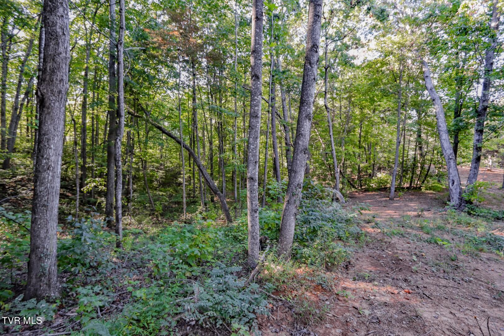 142 Delicious Way, Unit 38 Newport, TN 37821 - Photo 23 of 27 23