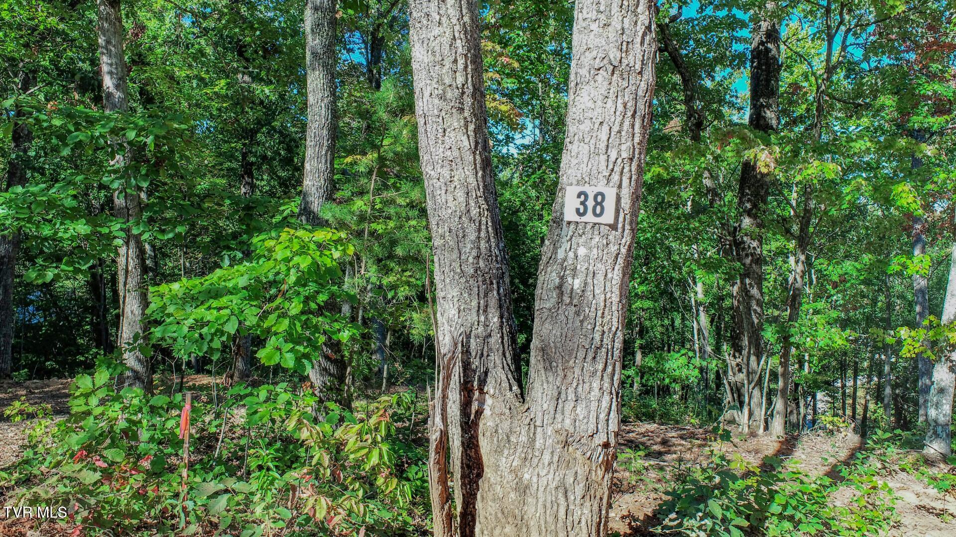 142 Delicious Way, Unit 38 Newport, TN 37821 - Photo 25 of 27 25