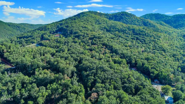 $48,000 | 142 Delicious Way, Unit 38, Newport, TN 37821