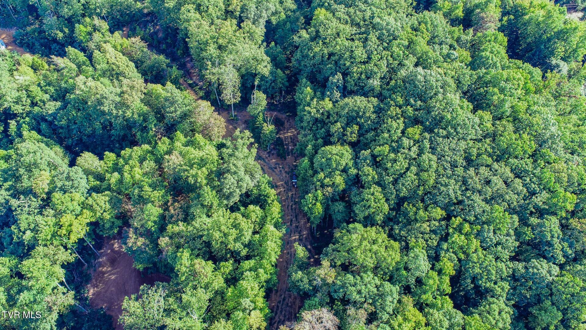 142 Delicious Way, Unit 38 Newport, TN 37821 - Photo 4 of 27 4