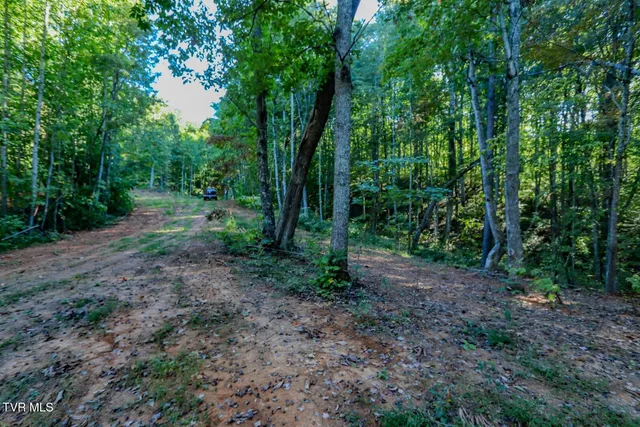 $48,000 | 142 Delicious Way, Unit 38, Newport, TN 37821