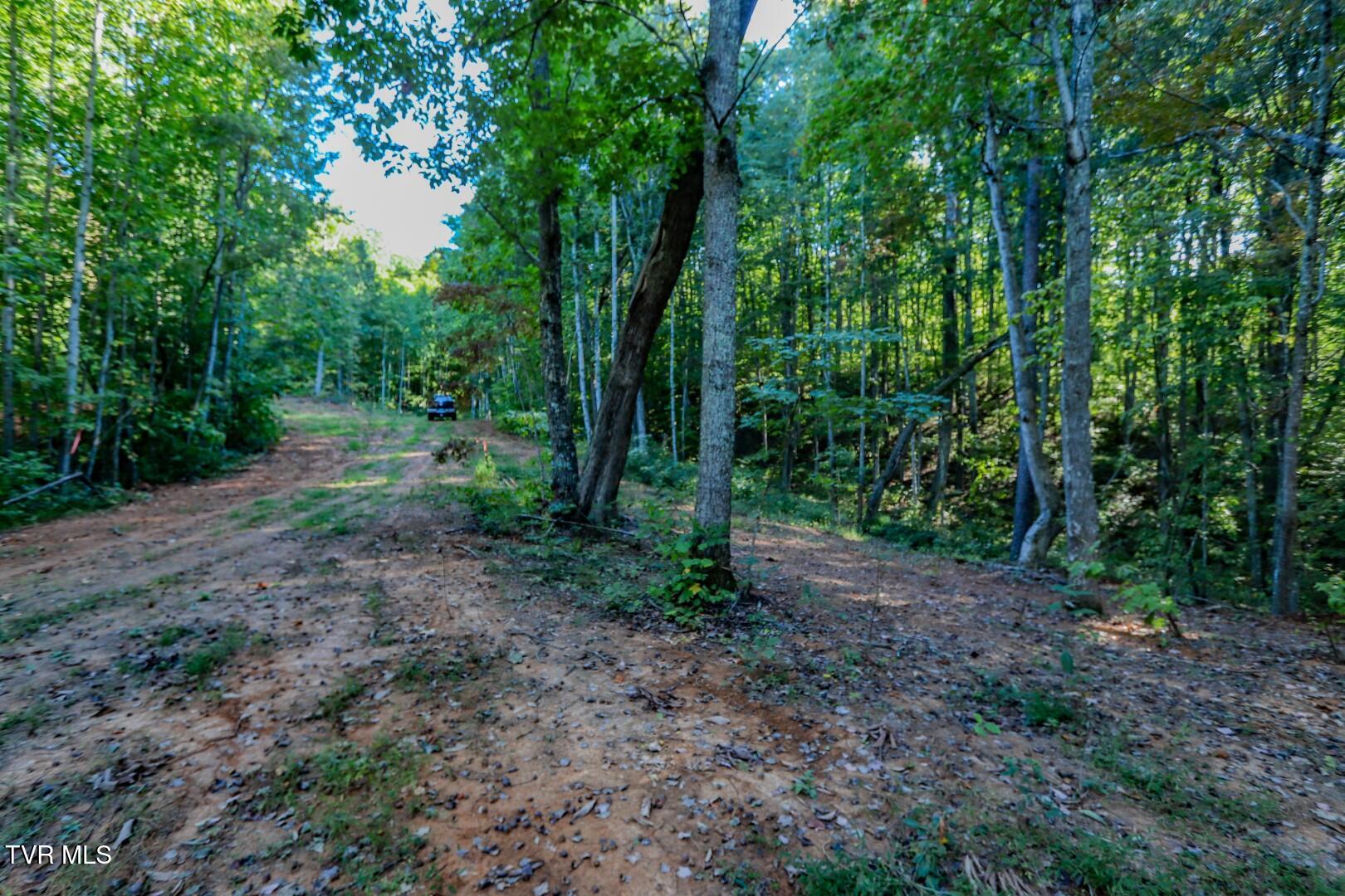 142 Delicious Way, Unit 38 Newport, TN 37821 - Photo 9 of 27 9