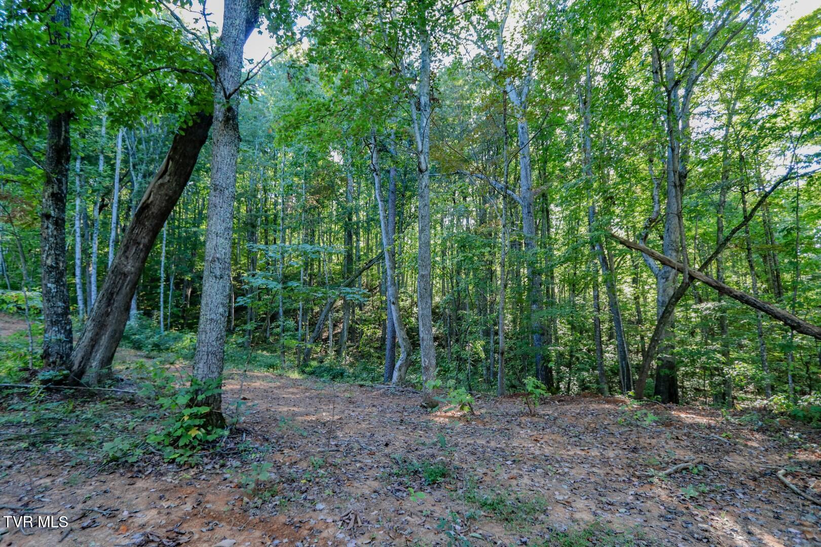 142 Delicious Way, Unit 38 Newport, TN 37821 - Photo 10 of 27 10