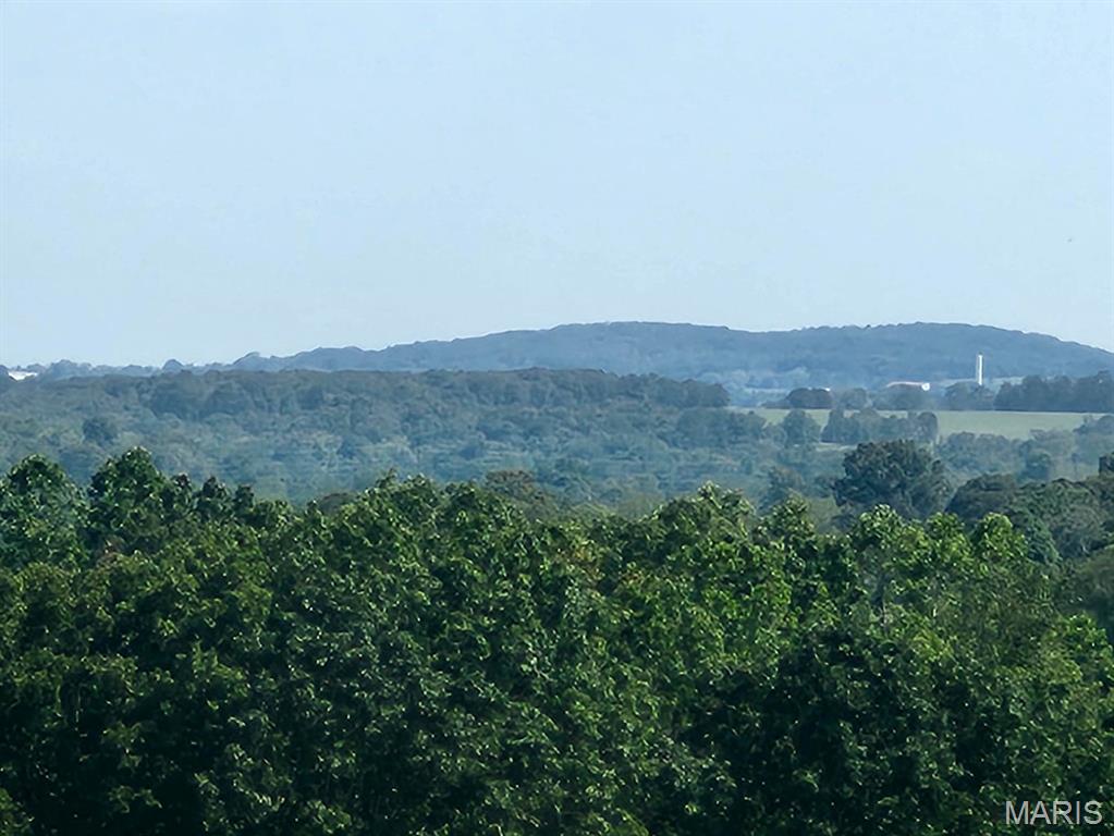 0 Girlstown Road Mountain Grove, MO 65711 - Photo 2 of 10