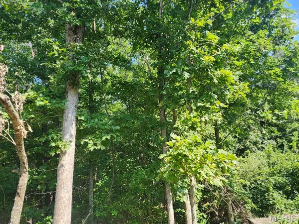 $485,000 | 0 Girlstown Road, Mountain Grove, MO 65711