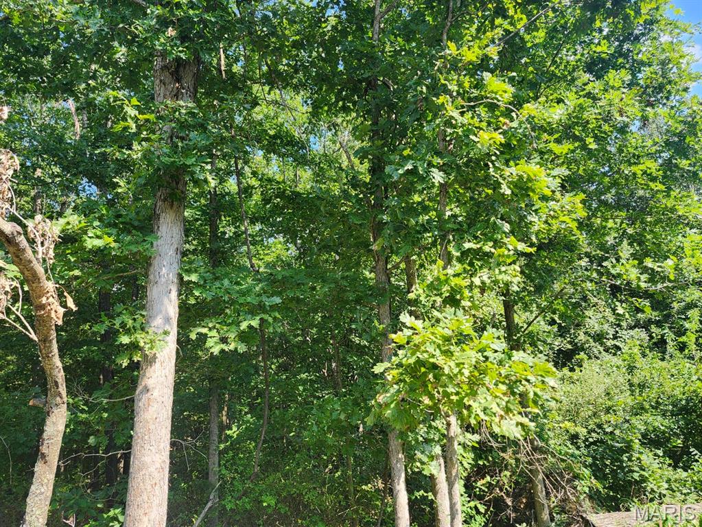 0 Girlstown Road Mountain Grove, MO 65711 - Photo 3 of 10