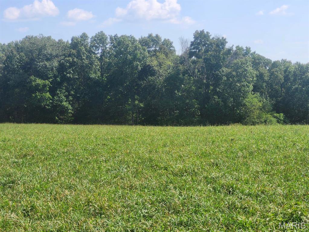 0 Girlstown Road Mountain Grove, MO 65711 - Photo 4 of 10