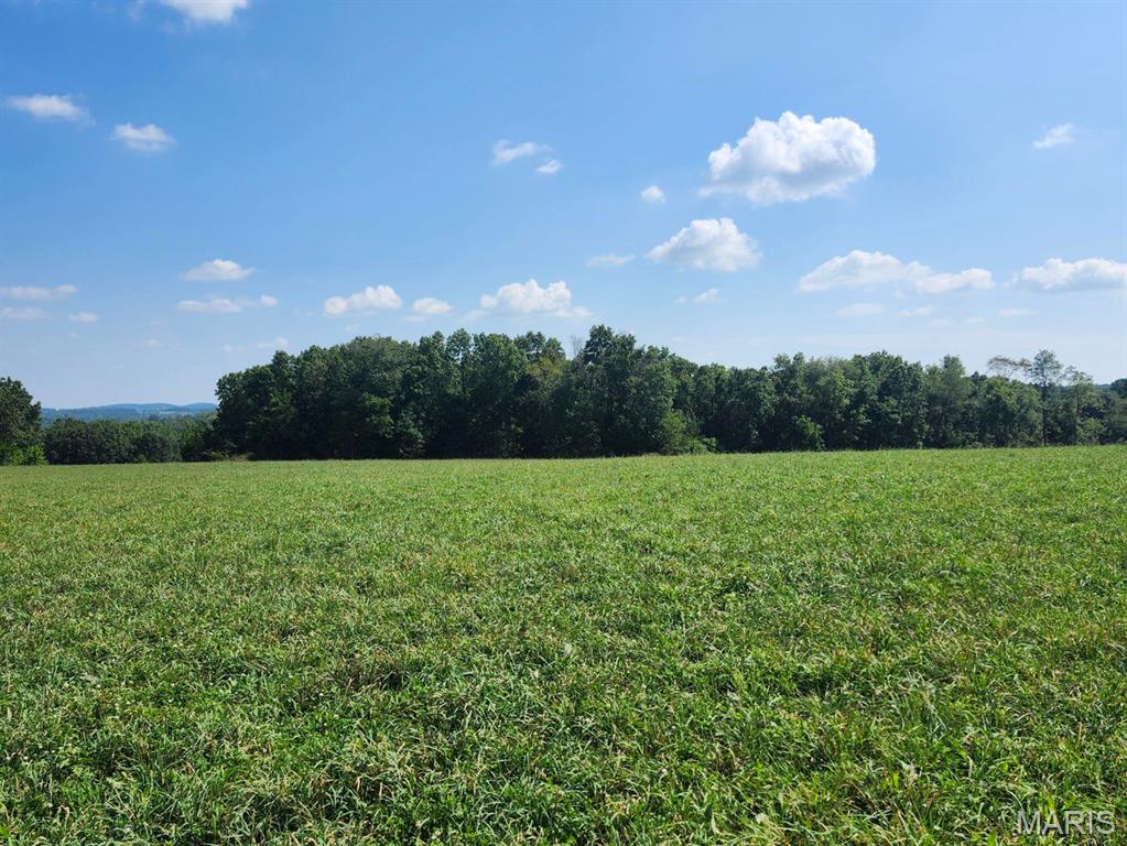 0 Girlstown Road Mountain Grove, MO 65711 - Photo 5 of 10