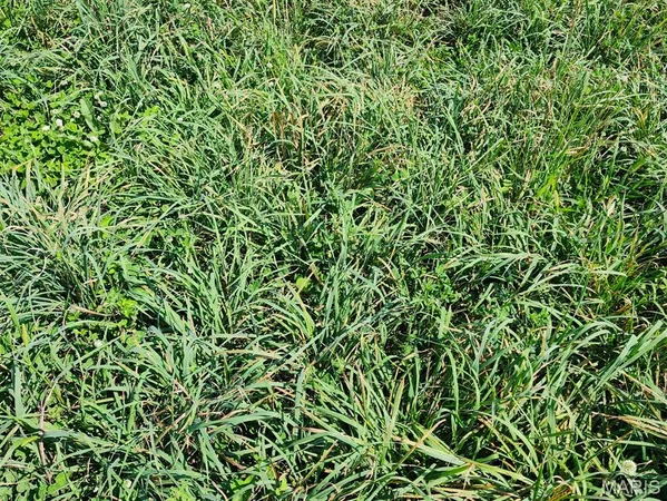 $485,000 | 0 Girlstown Road, Mountain Grove, MO 65711