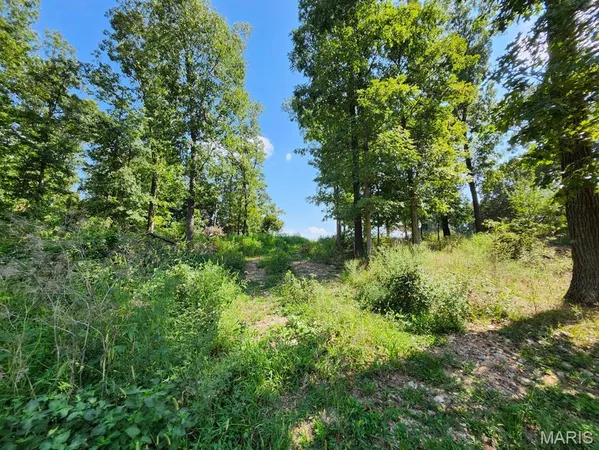 $485,000 | 0 Girlstown Road, Mountain Grove, MO 65711
