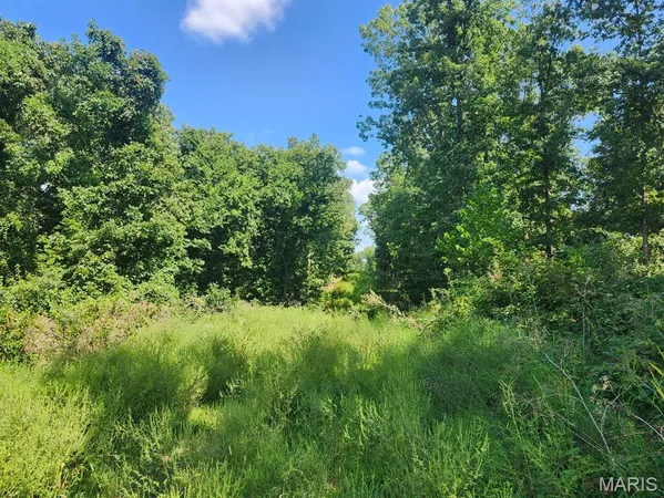 $485,000 | 0 Girlstown Road, Mountain Grove, MO 65711