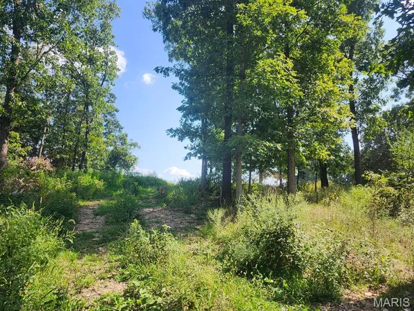 $485,000 | 0 Girlstown Road, Mountain Grove, MO 65711