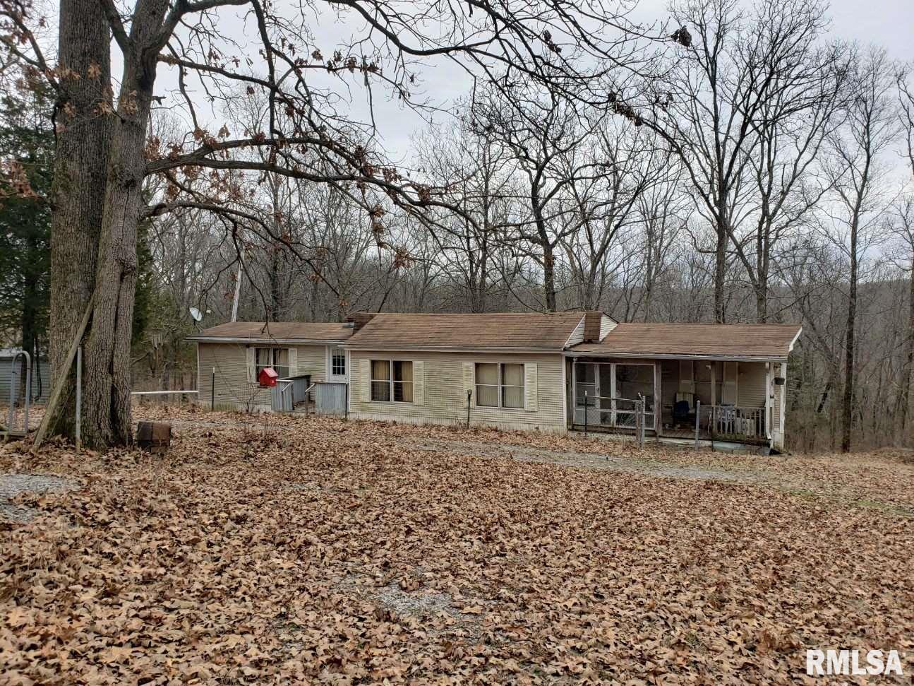 600 Michaels Road Goreville, IL 62939 - Photo 1 of 12