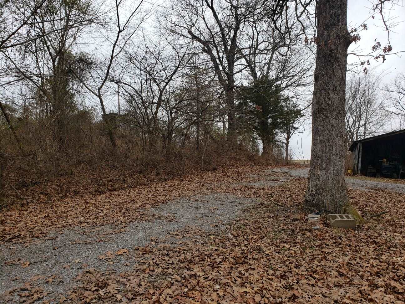 600 Michaels Road Goreville, IL 62939 - Photo 11 of 12