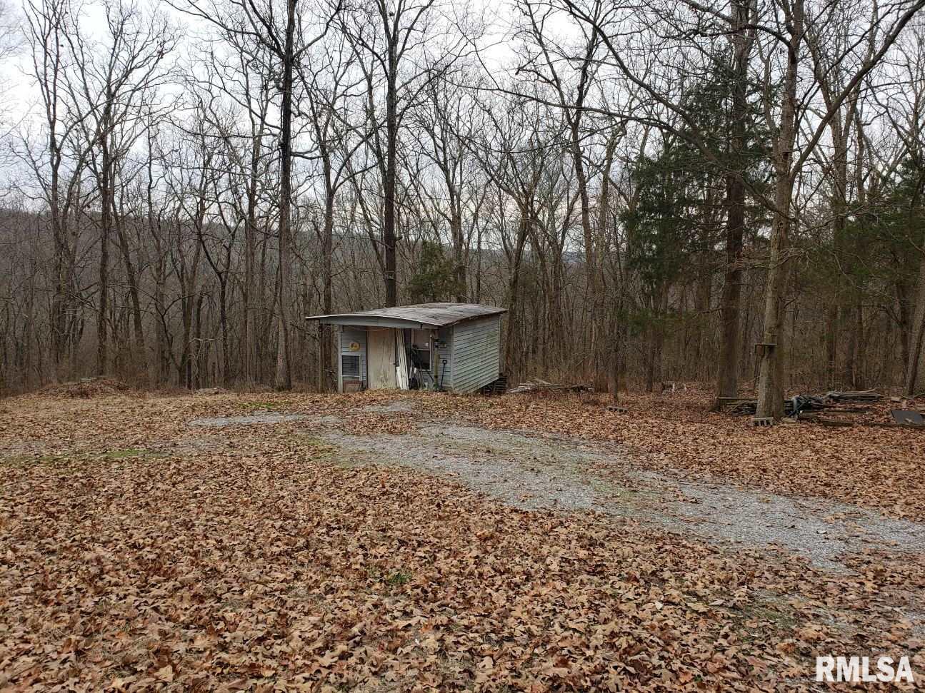 600 Michaels Road Goreville, IL 62939 - Photo 12 of 12
