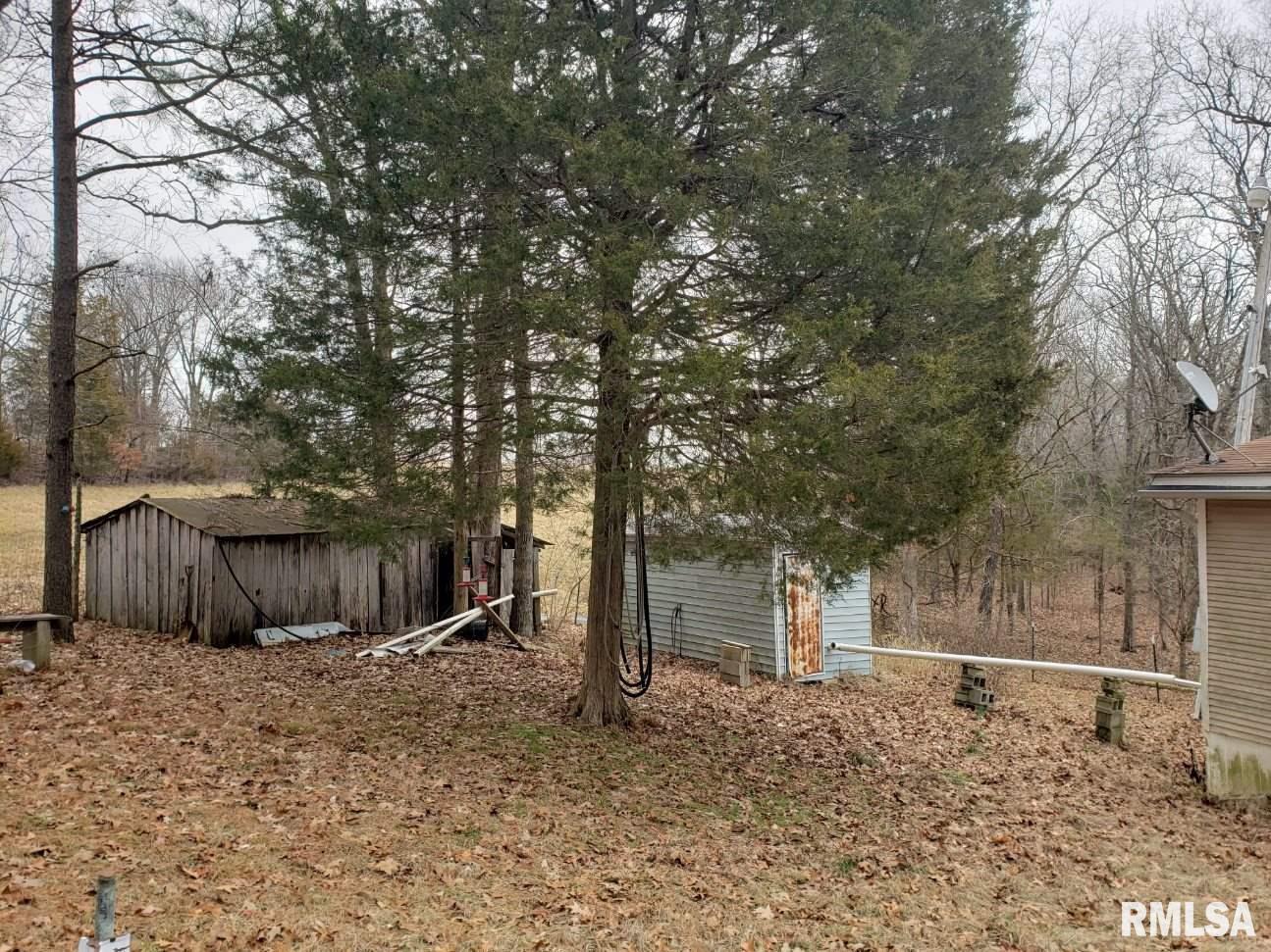 600 Michaels Road Goreville, IL 62939 - Photo 6 of 12