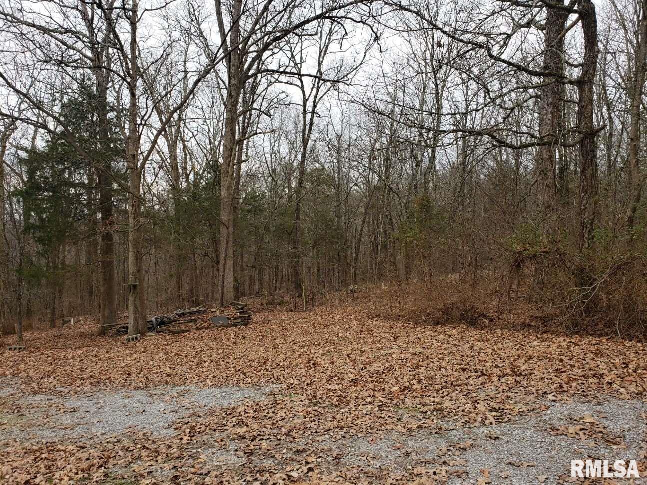 600 Michaels Road Goreville, IL 62939 - Photo 9 of 12