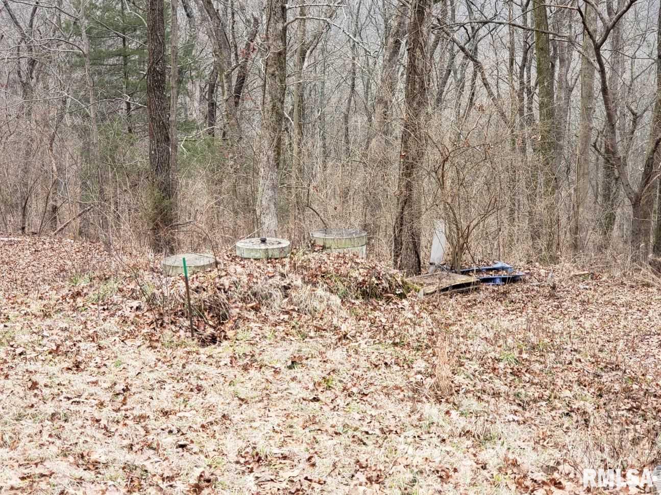 600 Michaels Road Goreville, IL 62939 - Photo 10 of 12