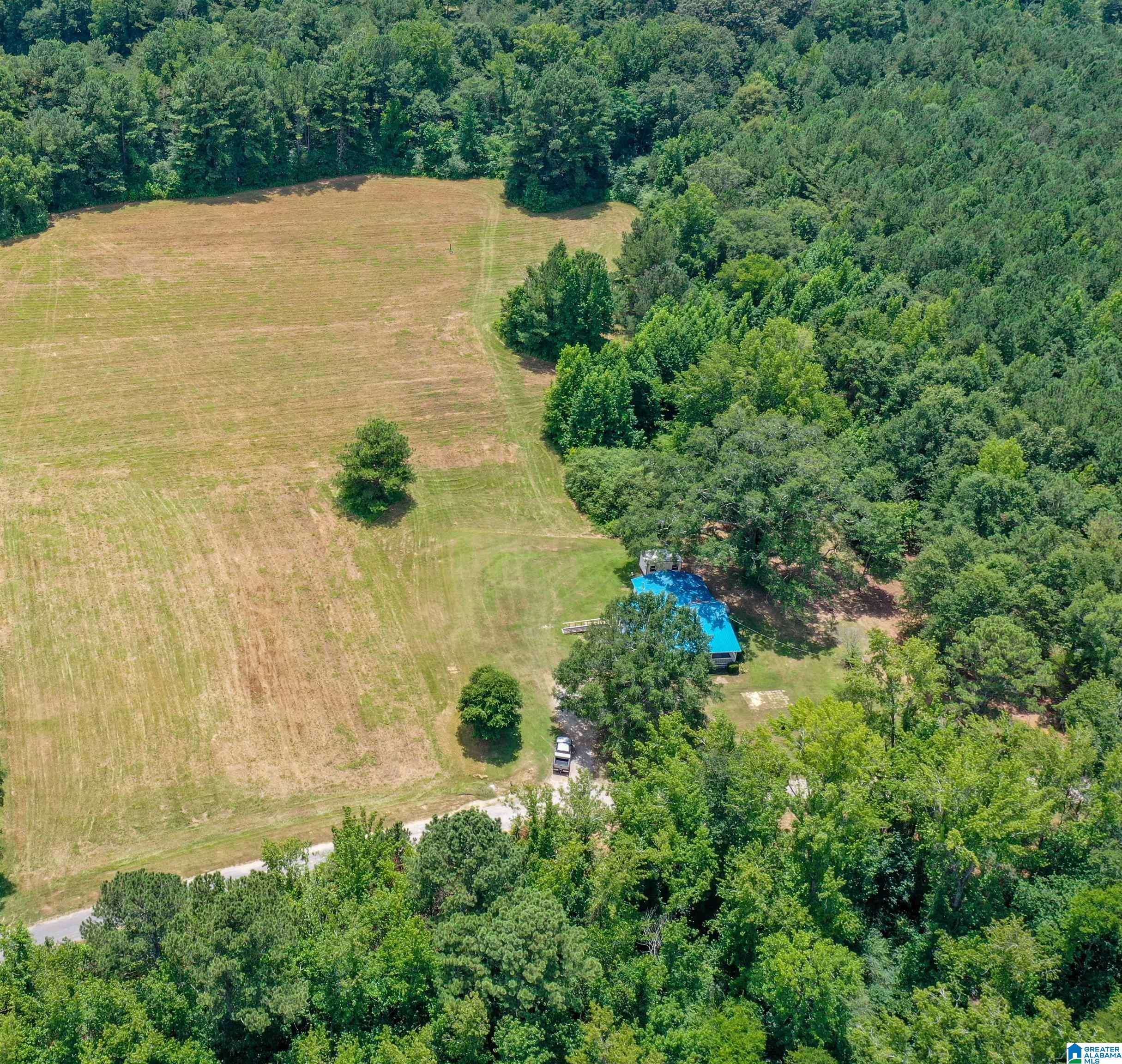 1675 Blue Eye Springs Road Lincoln, AL 35096 - Photo 51 of 60