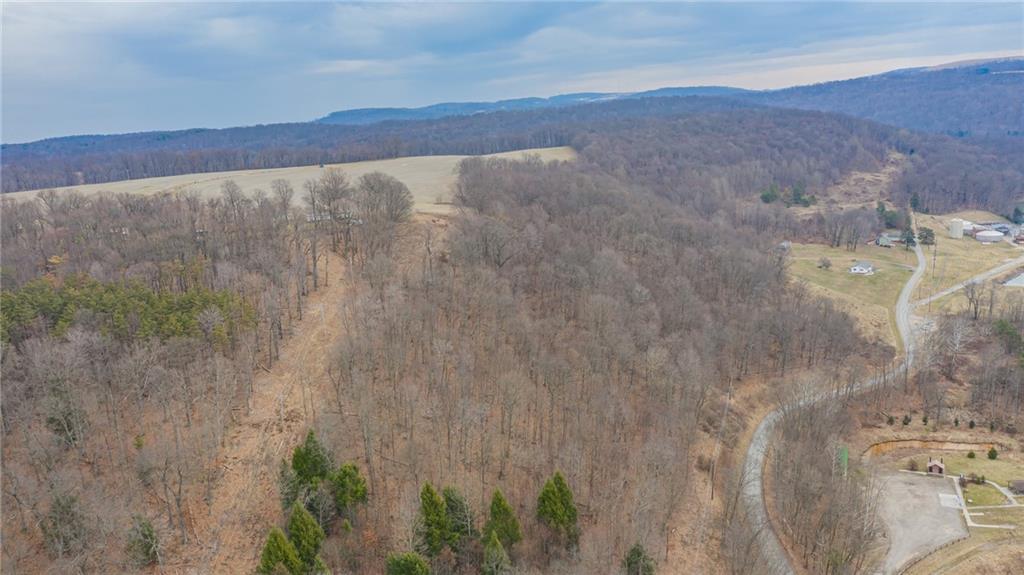 1055 Waterworks Road Indiana, PA 15701 - Photo 2 of 7 a view of a dry yard with mountains in the background