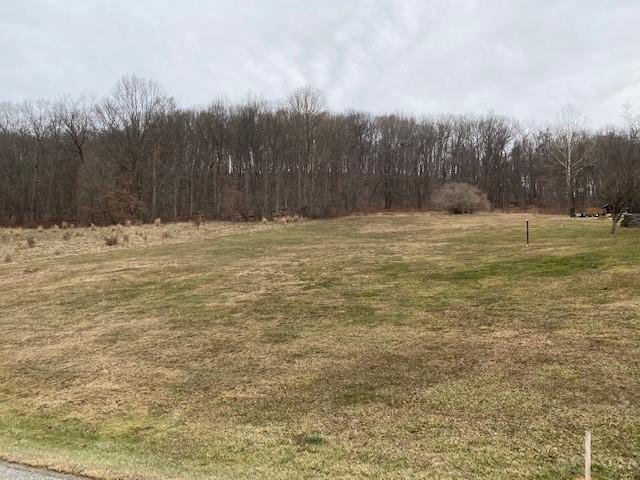 1055 Waterworks Road Indiana, PA 15701 - Photo 3 of 7 a view of a yard with trees in the background