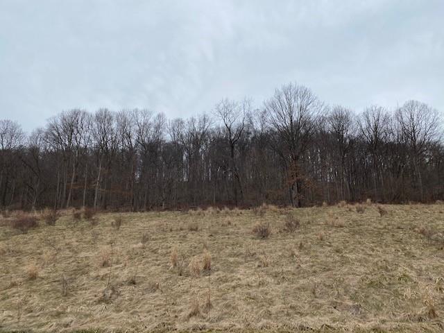 1055 Waterworks Road Indiana, PA 15701 - Photo 4 of 7 a view of water covered with trees