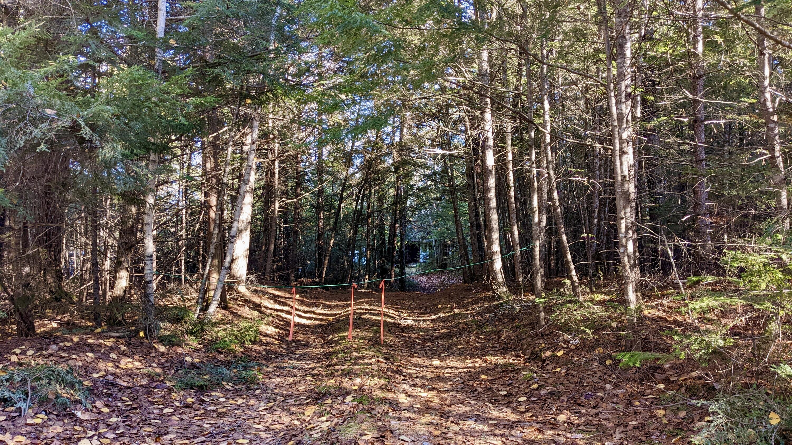 35 Silsby Road Ellsworth, ME 04605 - Photo 33 of 39 PXL_20221028_184900804