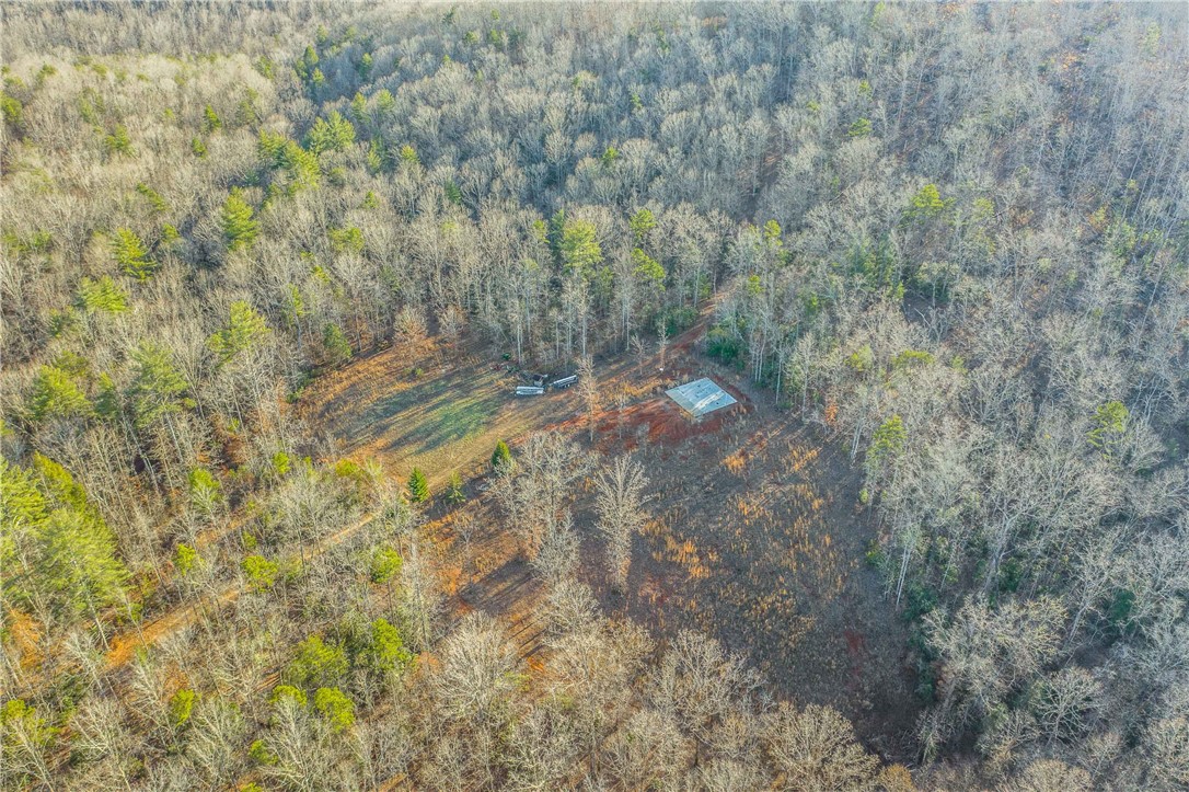 0 Liberia Road Pickens, SC 29671 - Photo 11 of 39