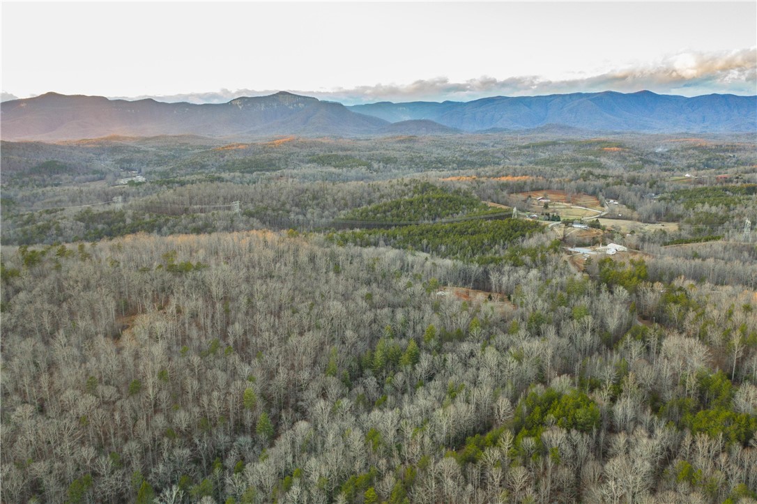 0 Liberia Road Pickens, SC 29671 - Photo 28 of 39