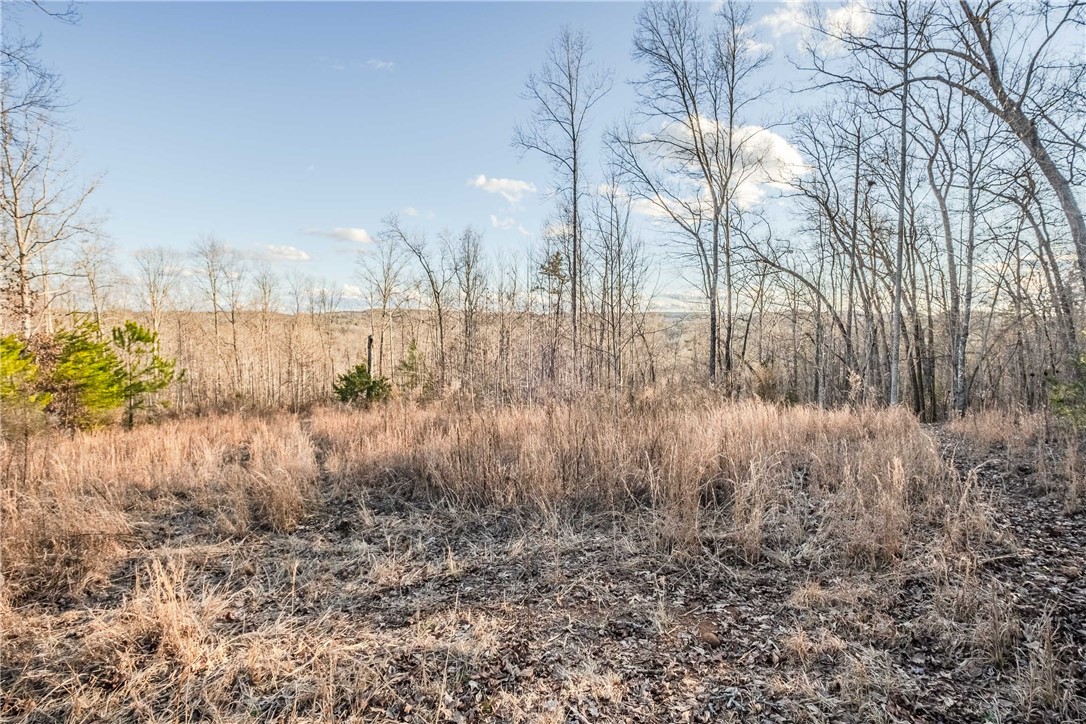 0 Liberia Road Pickens, SC 29671 - Photo 32 of 39