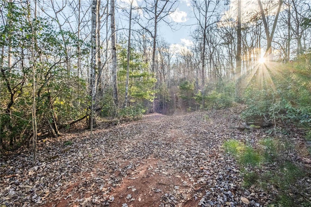 0 Liberia Road Pickens, SC 29671 - Photo 33 of 39