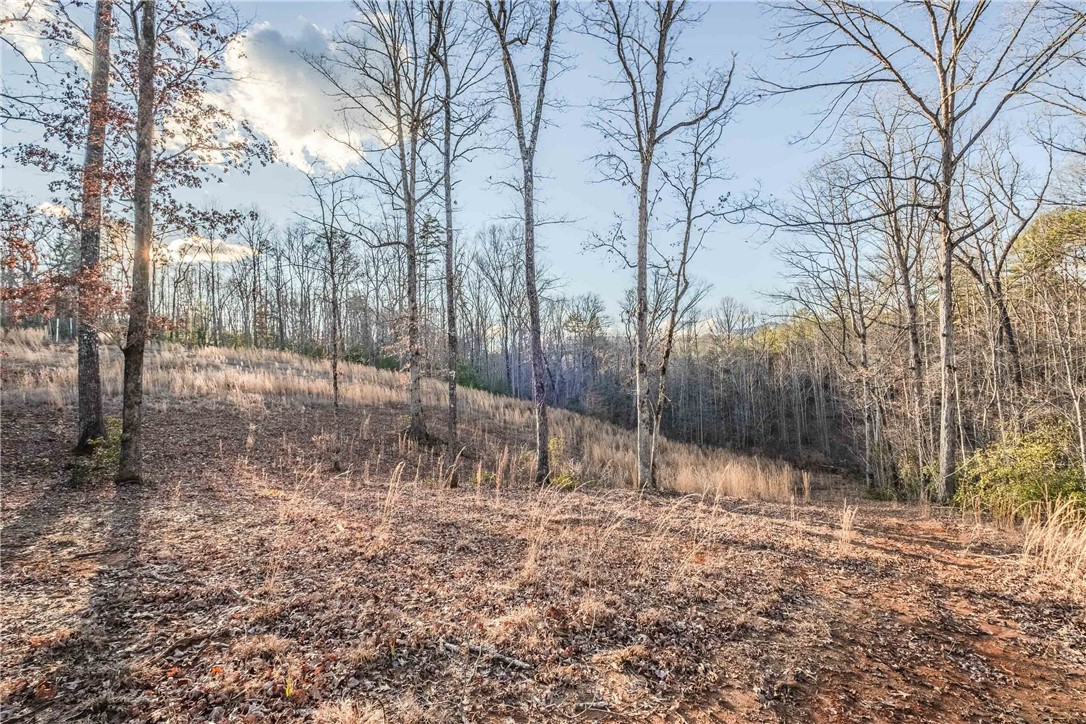 0 Liberia Road Pickens, SC 29671 - Photo 35 of 39