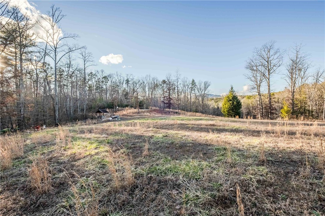 0 Liberia Road Pickens, SC 29671 - Photo 39 of 39