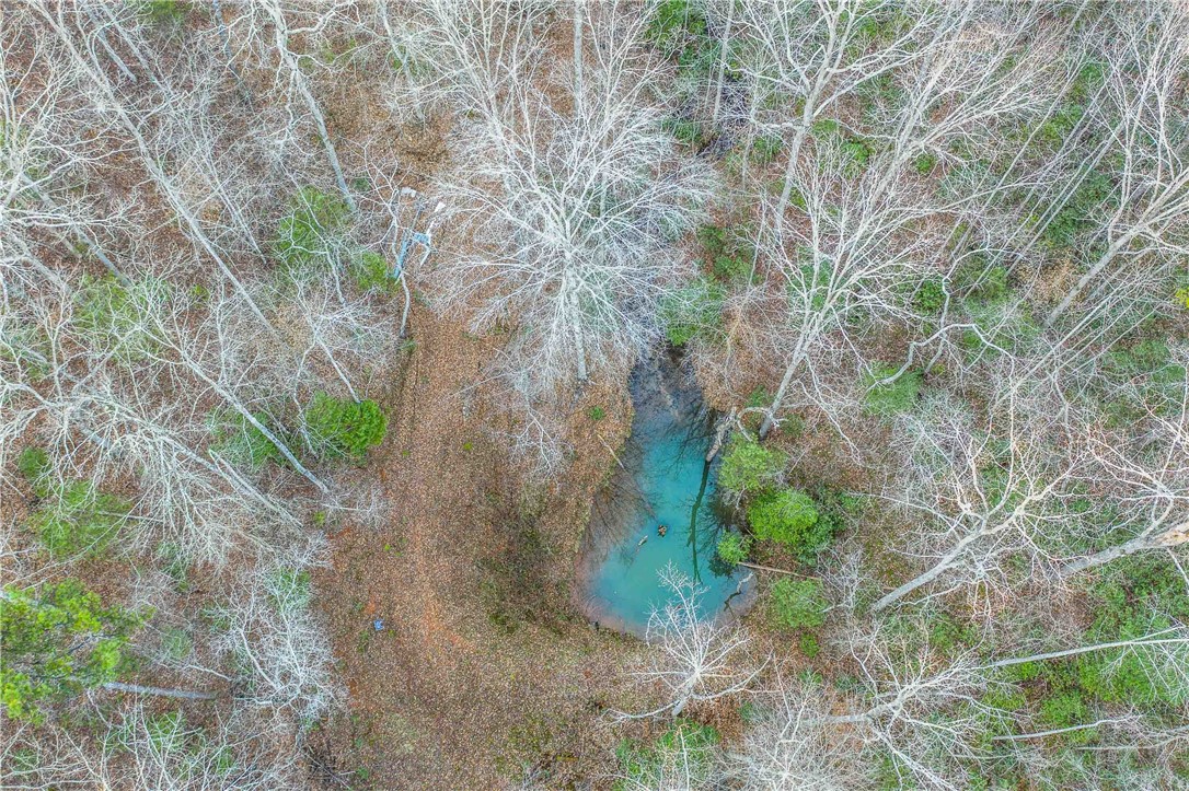 0 Liberia Road Pickens, SC 29671 - Photo 6 of 39