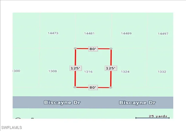 a view of a yard with a tree