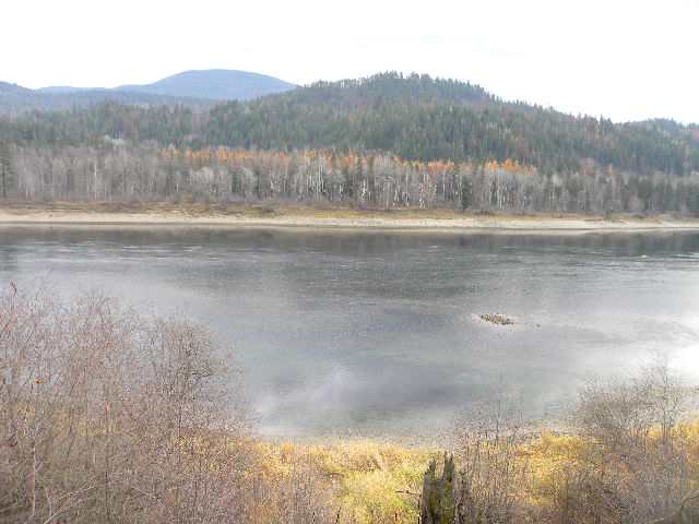 9132 State Rte 31 Ione, WA 99139 - Photo 4 of 9 Gallery Image 4