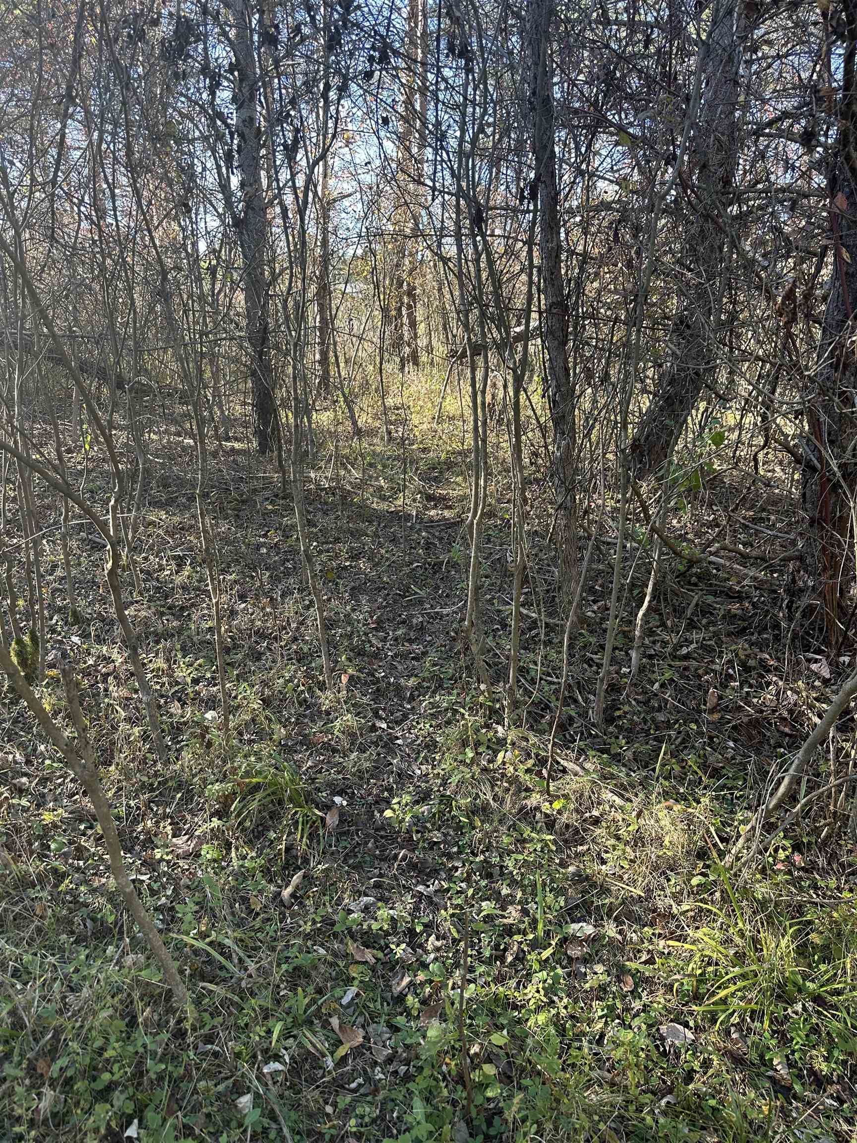 0 Drier Road Standish, MI 48658 - Photo 21 of 34
