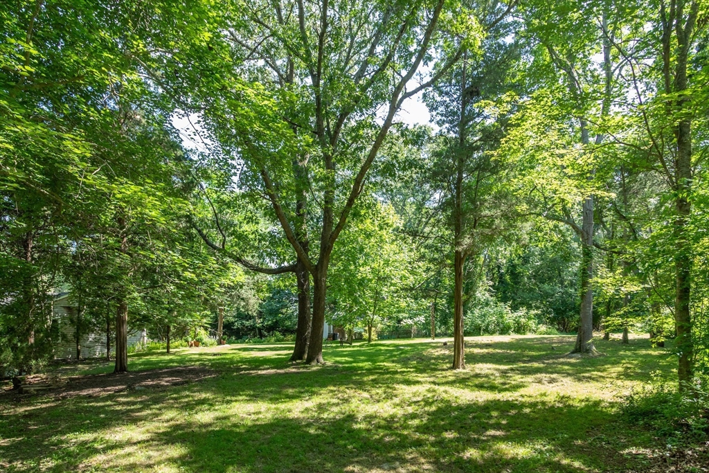 1680 C Drift Road Westport, MA 02790 - Photo 35 of 36 a big yard with trees
