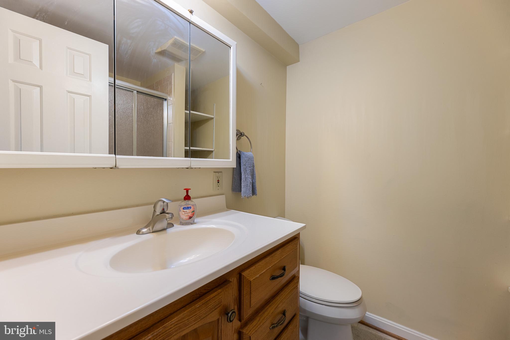 6189 Hidden Canyon Road Centreville, VA 20120 - Photo 40 of 48 Full bathroom in basement