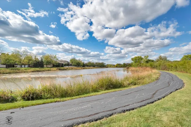 a view of a lake from a yard