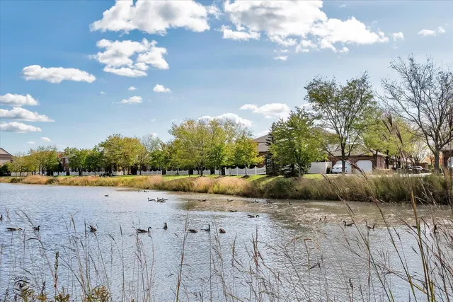 a view of a backyard of a house