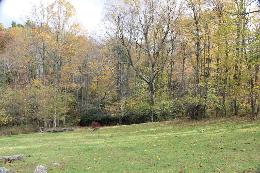 Tbd Terry's Mill Road, Unit 121A61 Laurel Fork, VA 24352 - Photo 41 of 71 Gallery Image 41