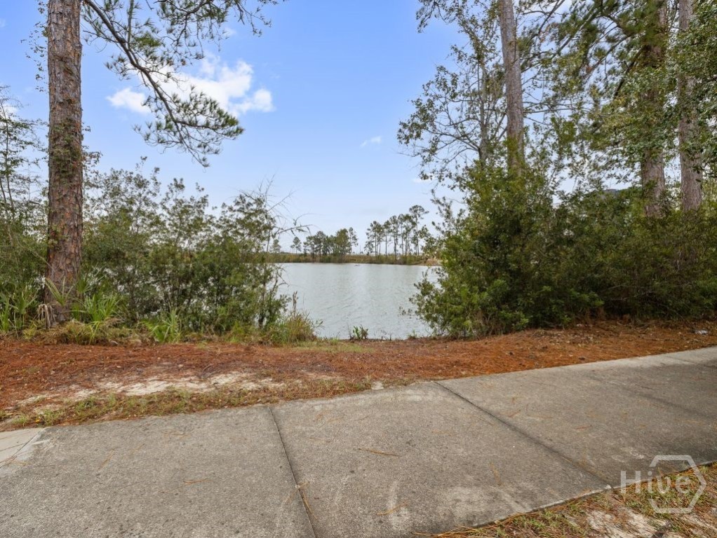 305 Lakeview Drive Pooler, GA 31322 - Photo 38 of 41