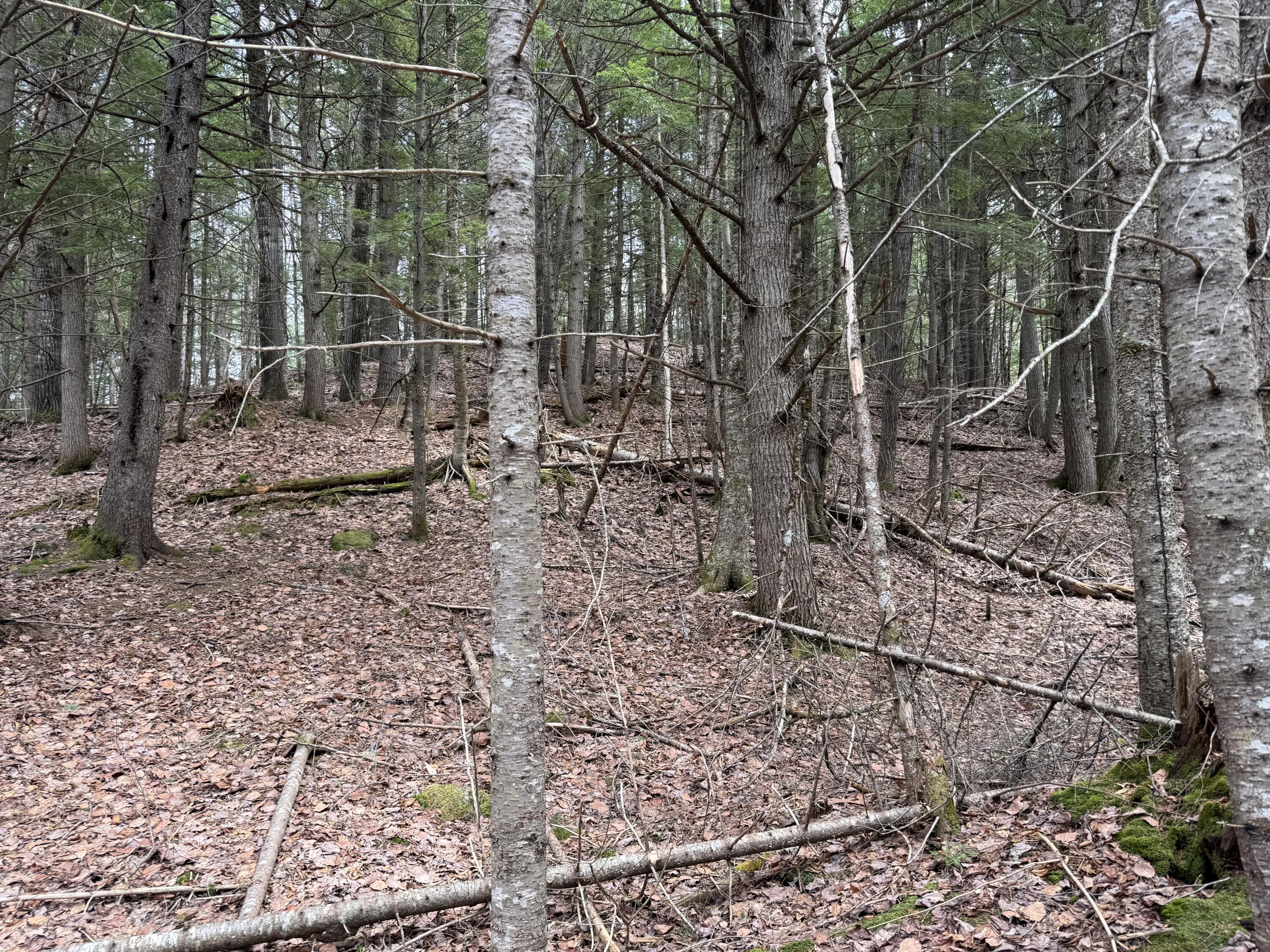 3 Webb River Acrs Carthage, ME 04224 - Photo 2 of 8 IMG_9465