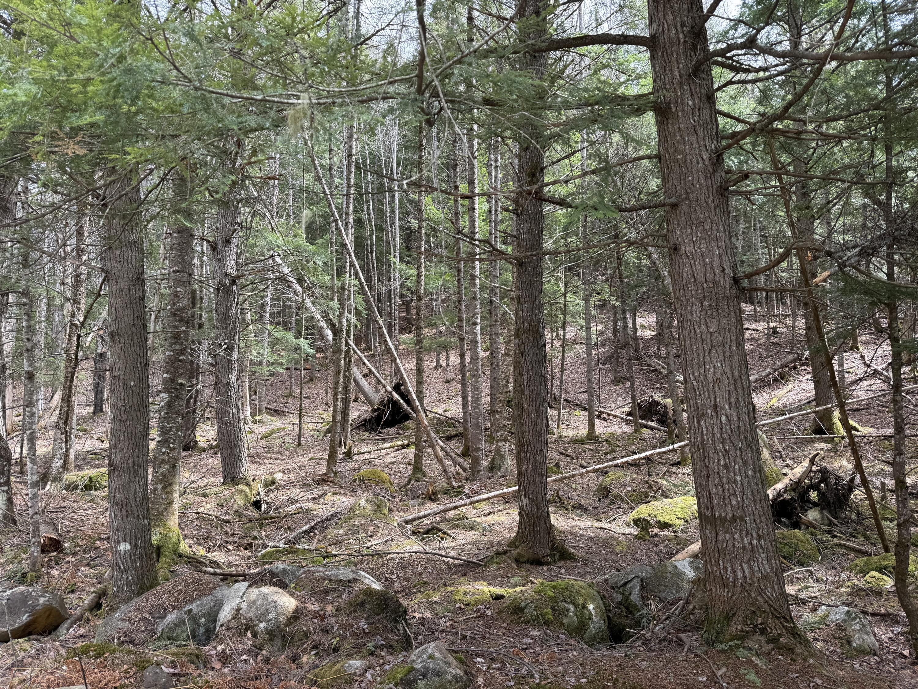3 Webb River Acrs Carthage, ME 04224 - Photo 6 of 8 IMG_9460